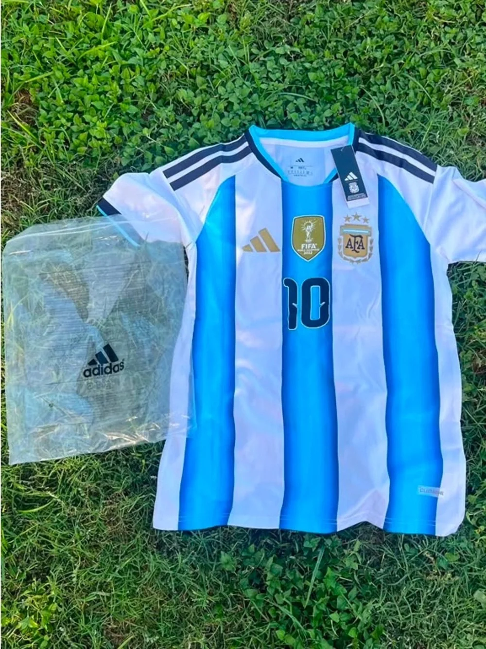 Adidas Argentina Soccer Jersey - White & Sky Blue - #10